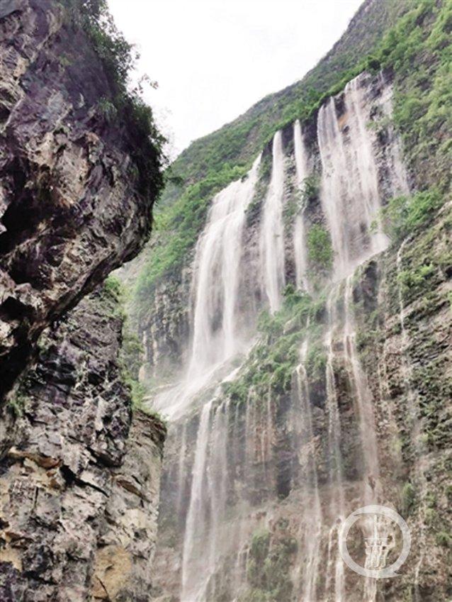 “肥”越万水千山,吉时农业100吨有机肥启程发往南宁